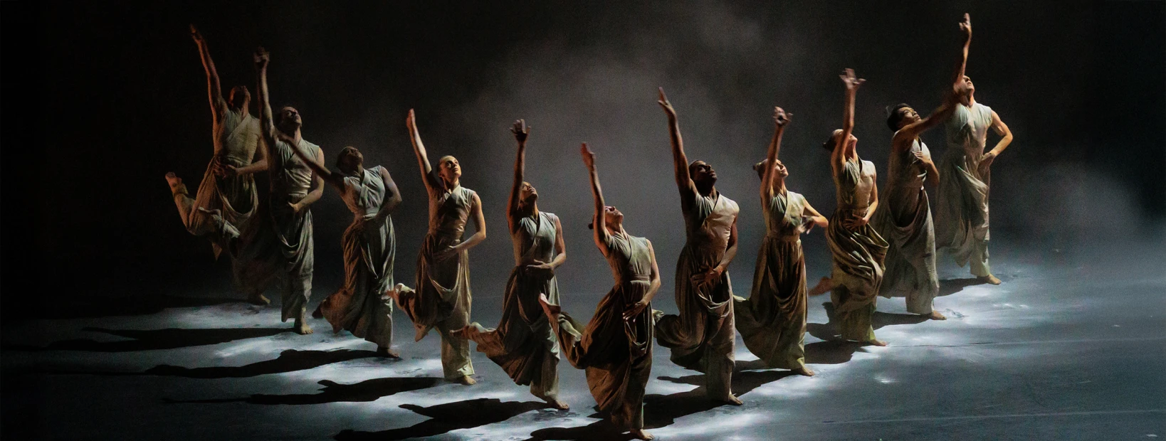 Cacti - Droits réservés