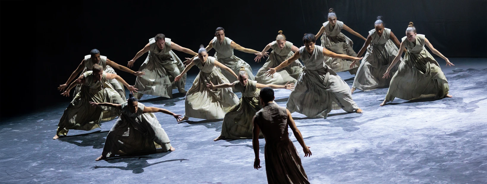 Cacti - Droits réservés